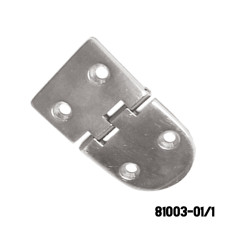 Heavy Duty Hinge S.S 316