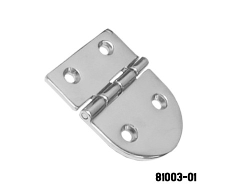 Stainless Steel Heavy Duty Hinge 316