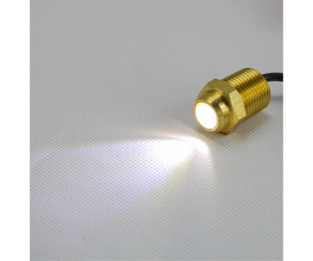 LED Drain Plug Light