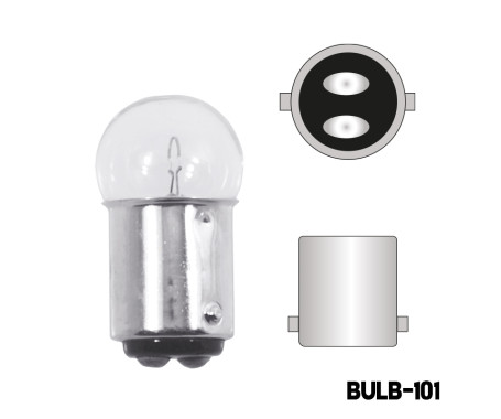 Bulb 12V