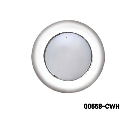 LED Ceiling Light (FM / SM)