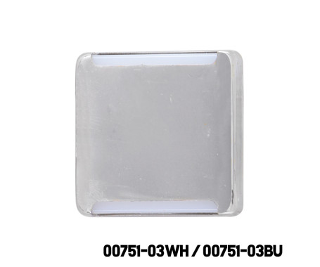 AAA - LED Courtesy, With S.S. 304 Cover