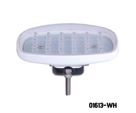 AAA - LED Deck Light (SM)