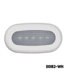 AAA - LED Courtesy Light (SM)