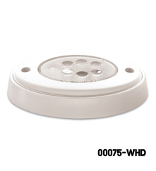 AAA - LED Light (SM)