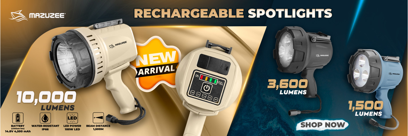 asdf bbbbbbbbspot%20light%20banner%20design4%20-%2010-04-2026-1353x451.jpg